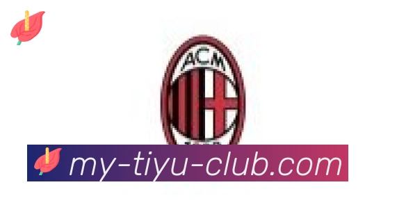 yobo体育合作伙伴